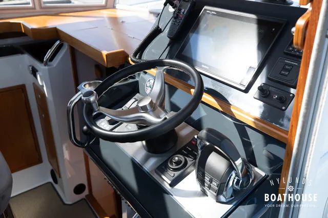 Sargo 31