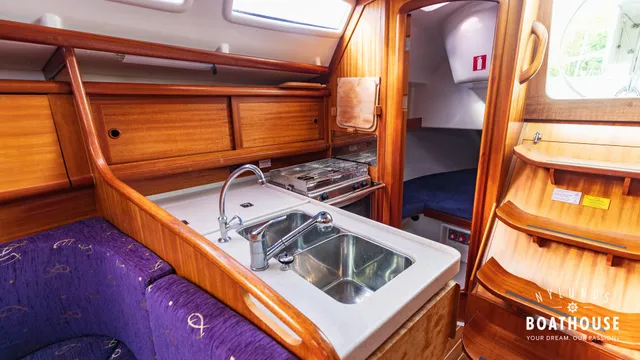 Delphia  D37