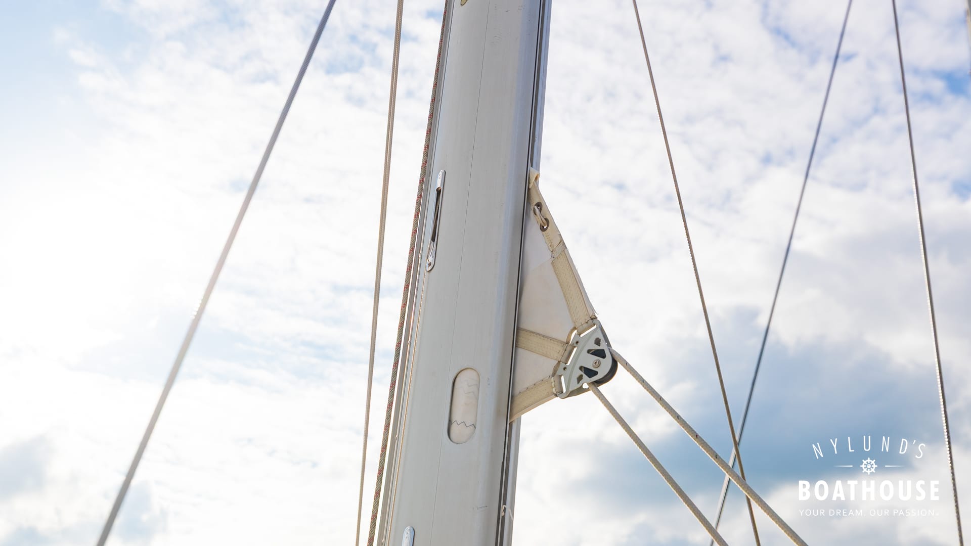 Delphia D37 - Image 96