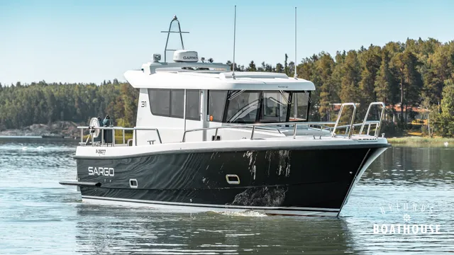 Sargo 31