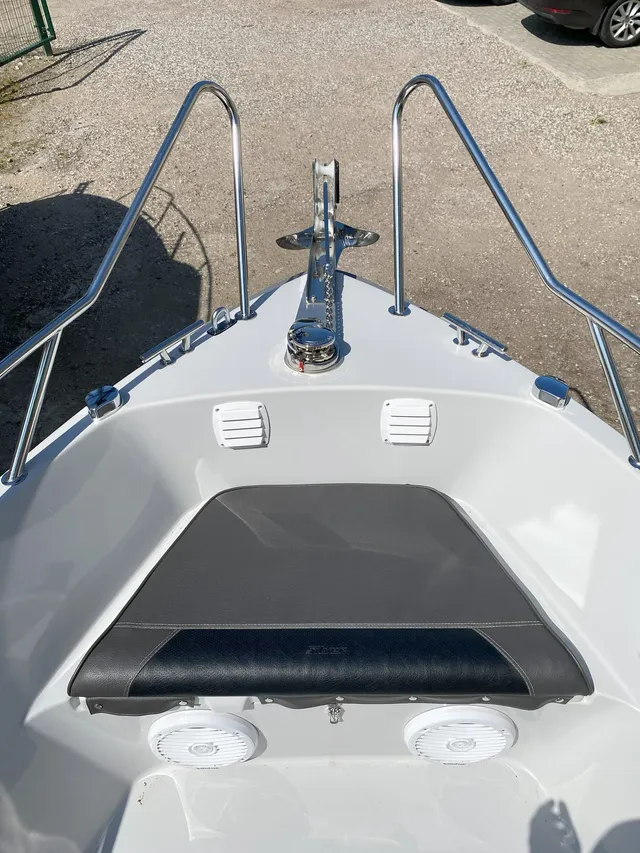 Silver 650 Eagle