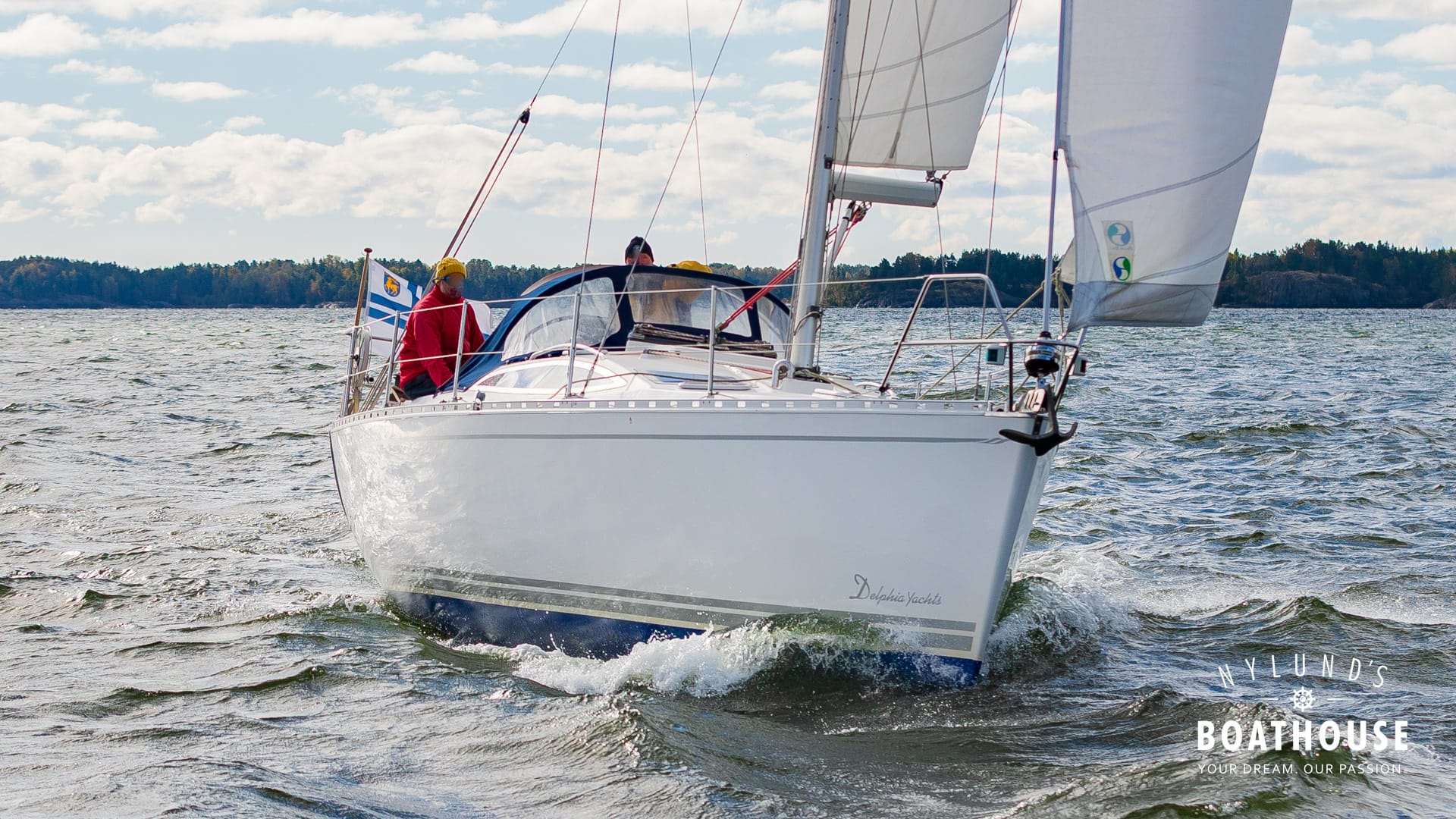Delphia D37 - Image 39