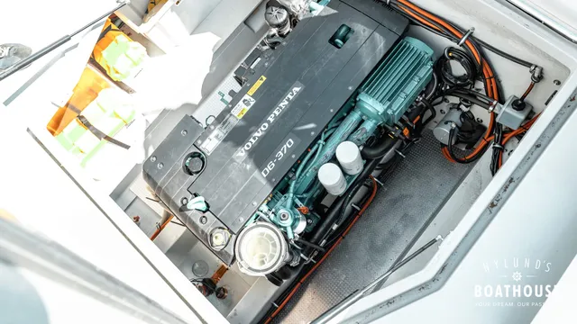 Sargo 31