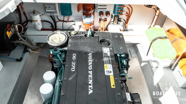 Sargo 31