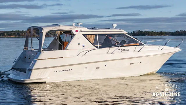 Marino Shark 29