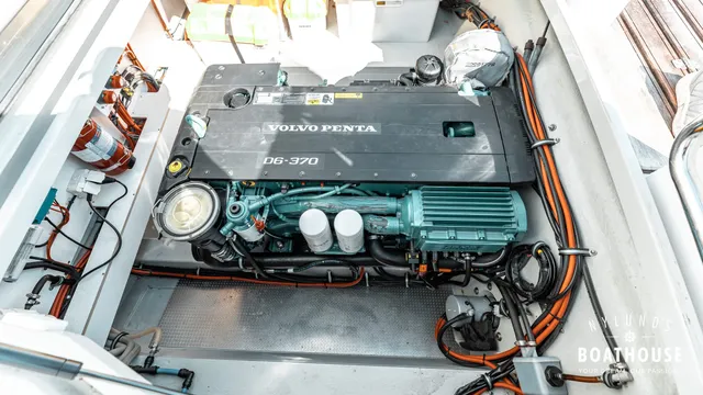 Sargo 31