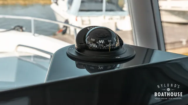 Sargo 31