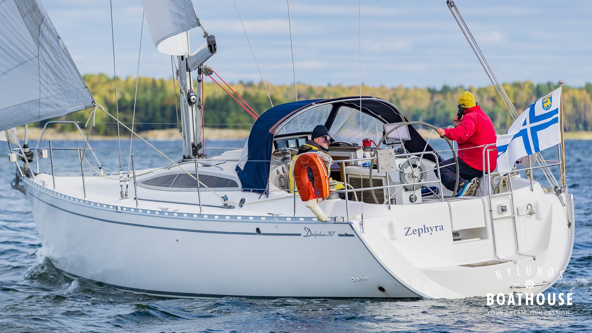 Delphia D37 - Image 2