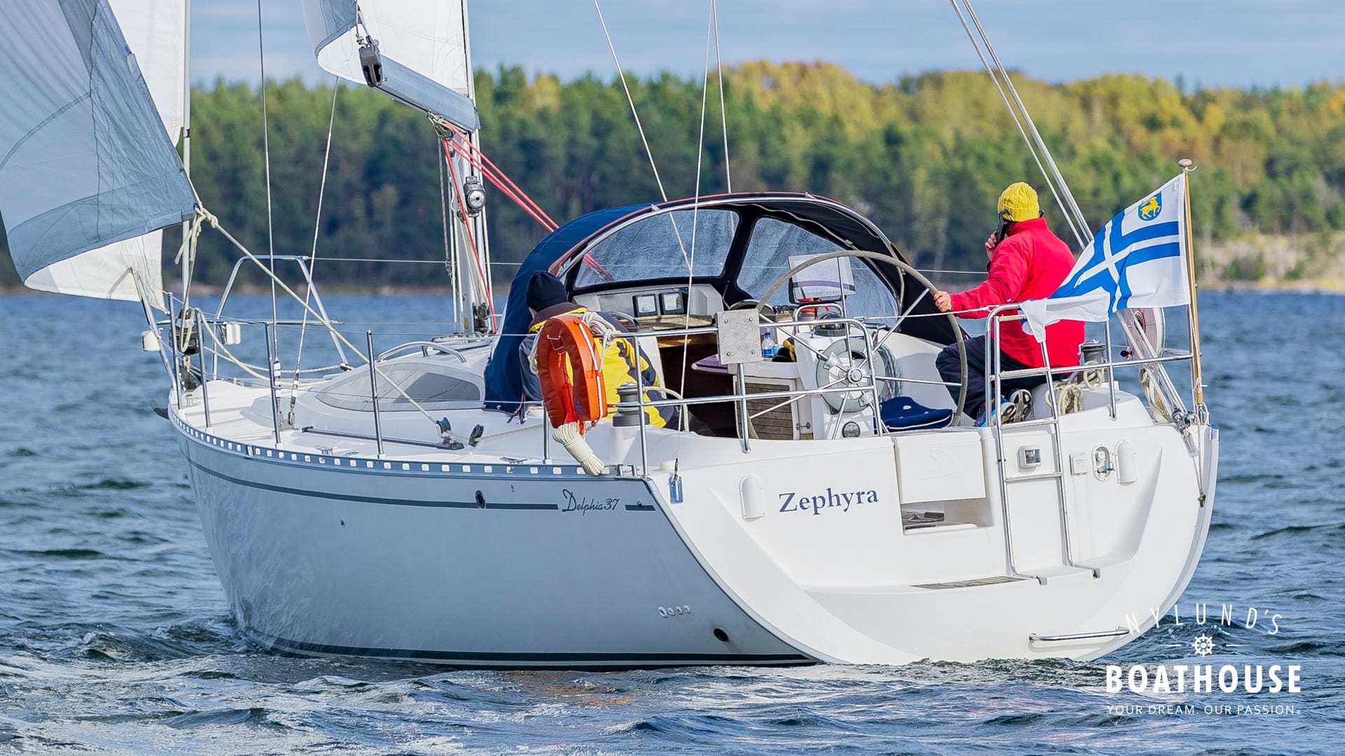 Delphia D37 - Image 11