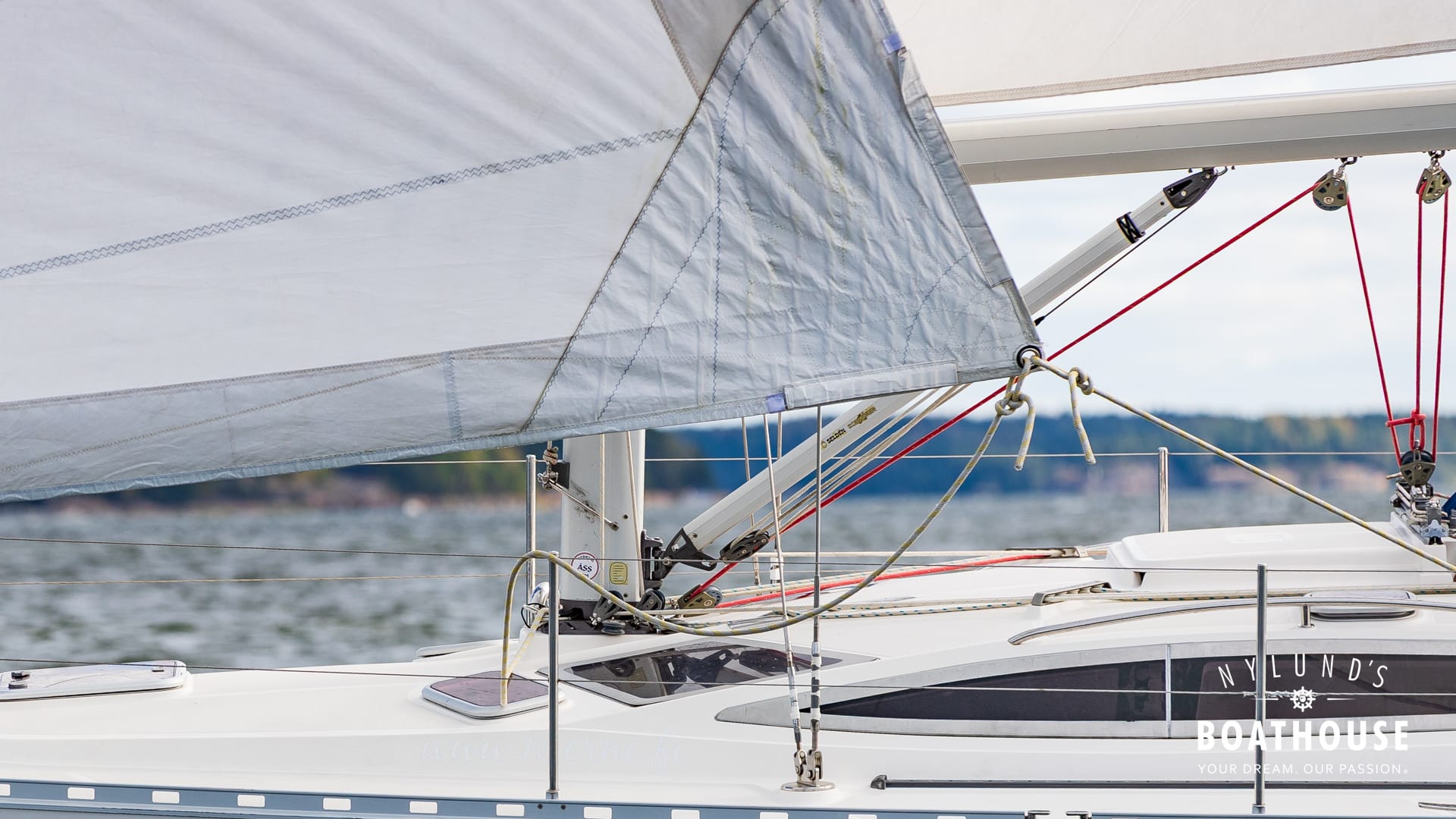 Delphia D37 - Image 41