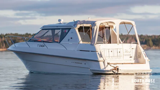 Marino Shark 29