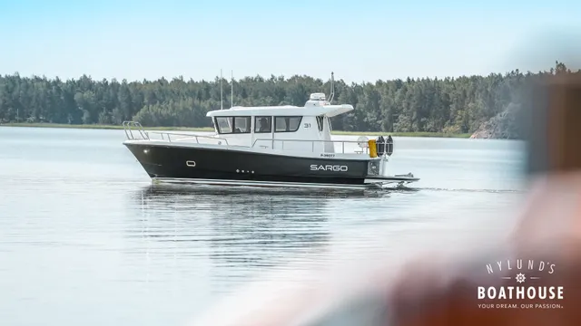 Sargo 31