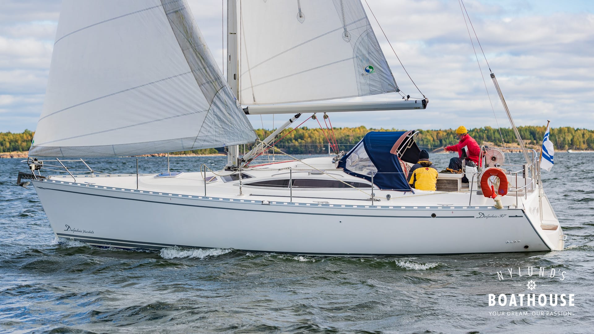 Delphia D37 - Image 34