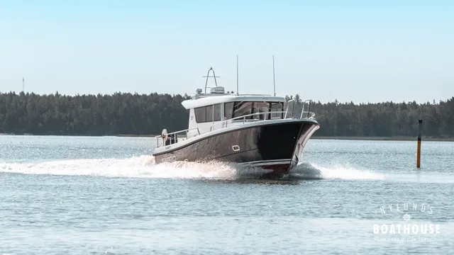 Sargo 31