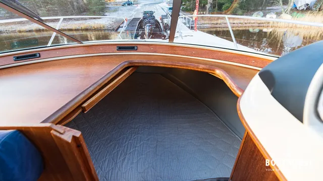 Marino Shark 29