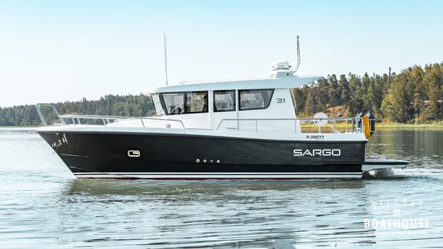 Sargo 31