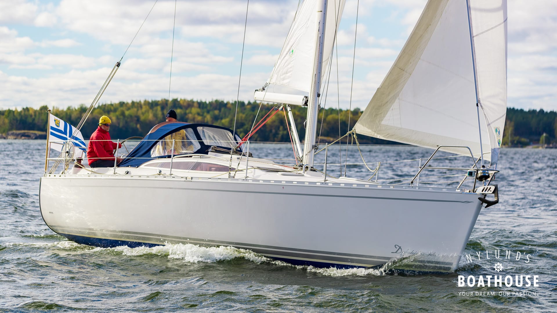 Delphia D37 - Image 20