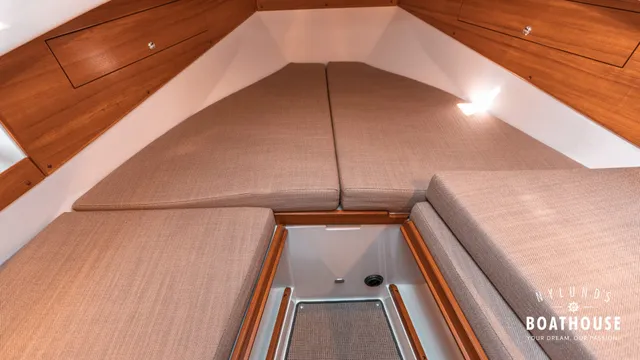 Sargo 31
