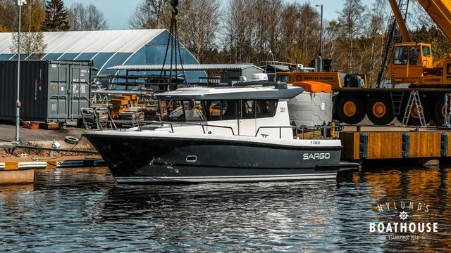 Sargo 31