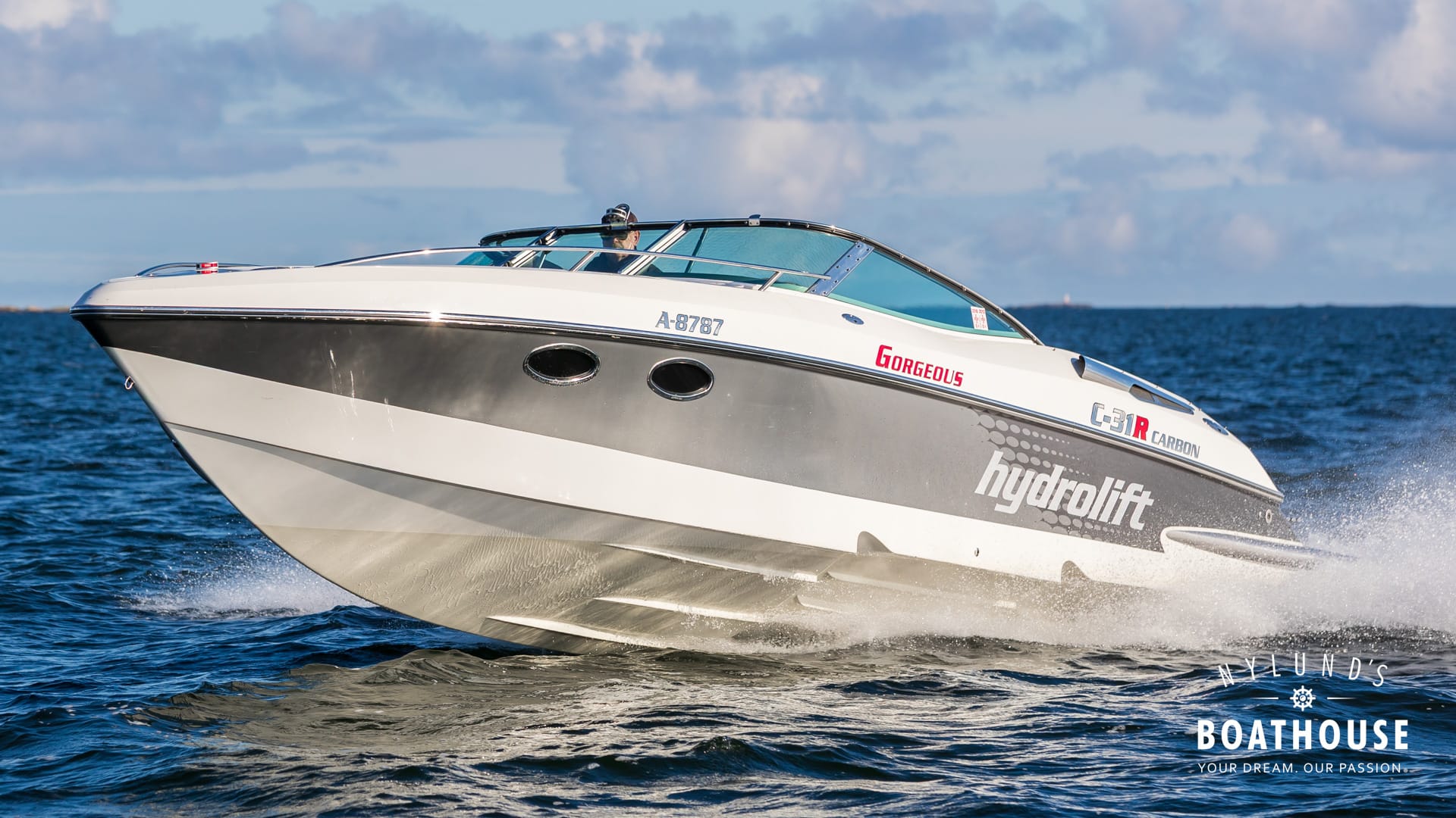 Hydrolift C-31 R Carbon - Image 3