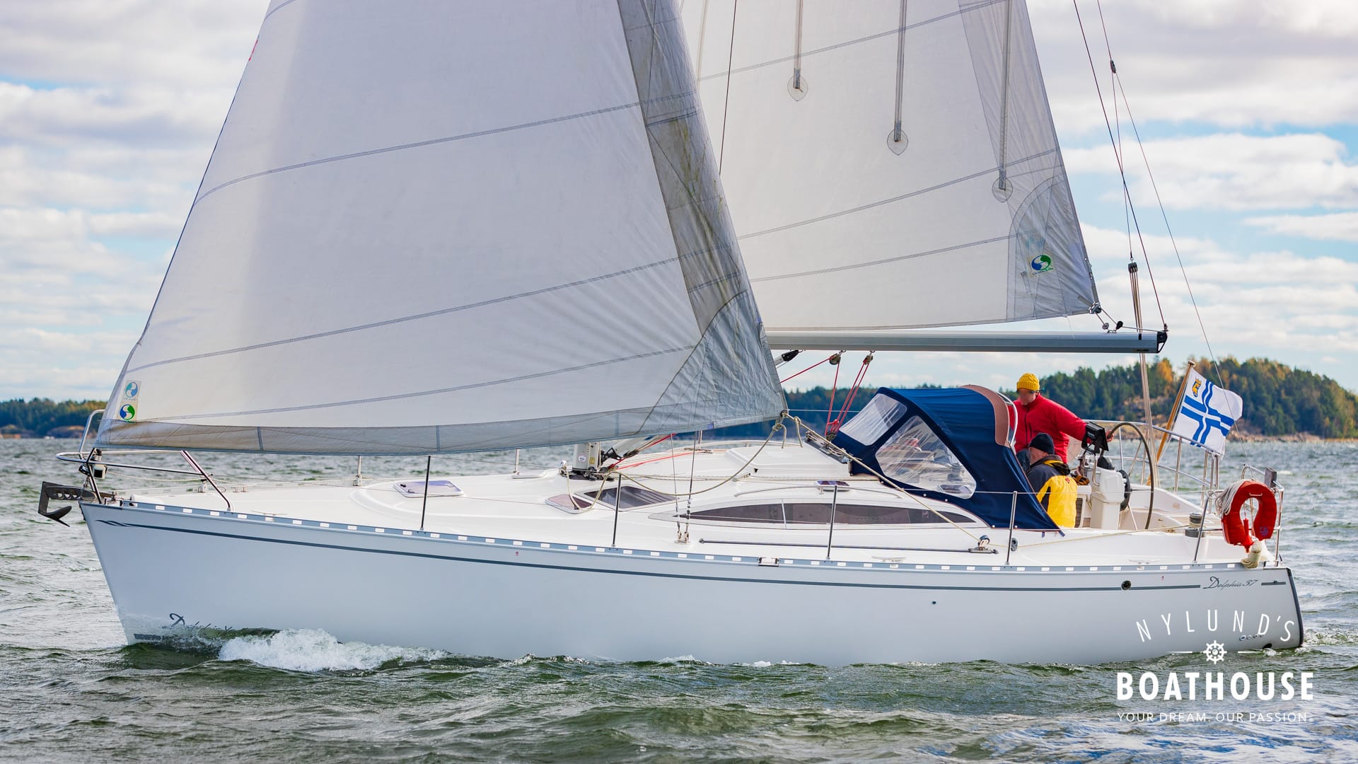 Delphia D37 - Image 23