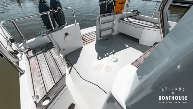 Sargo 31