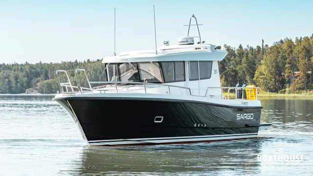 Sargo 31