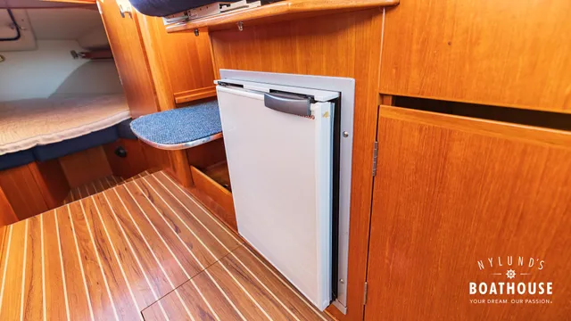 Marino Shark 29