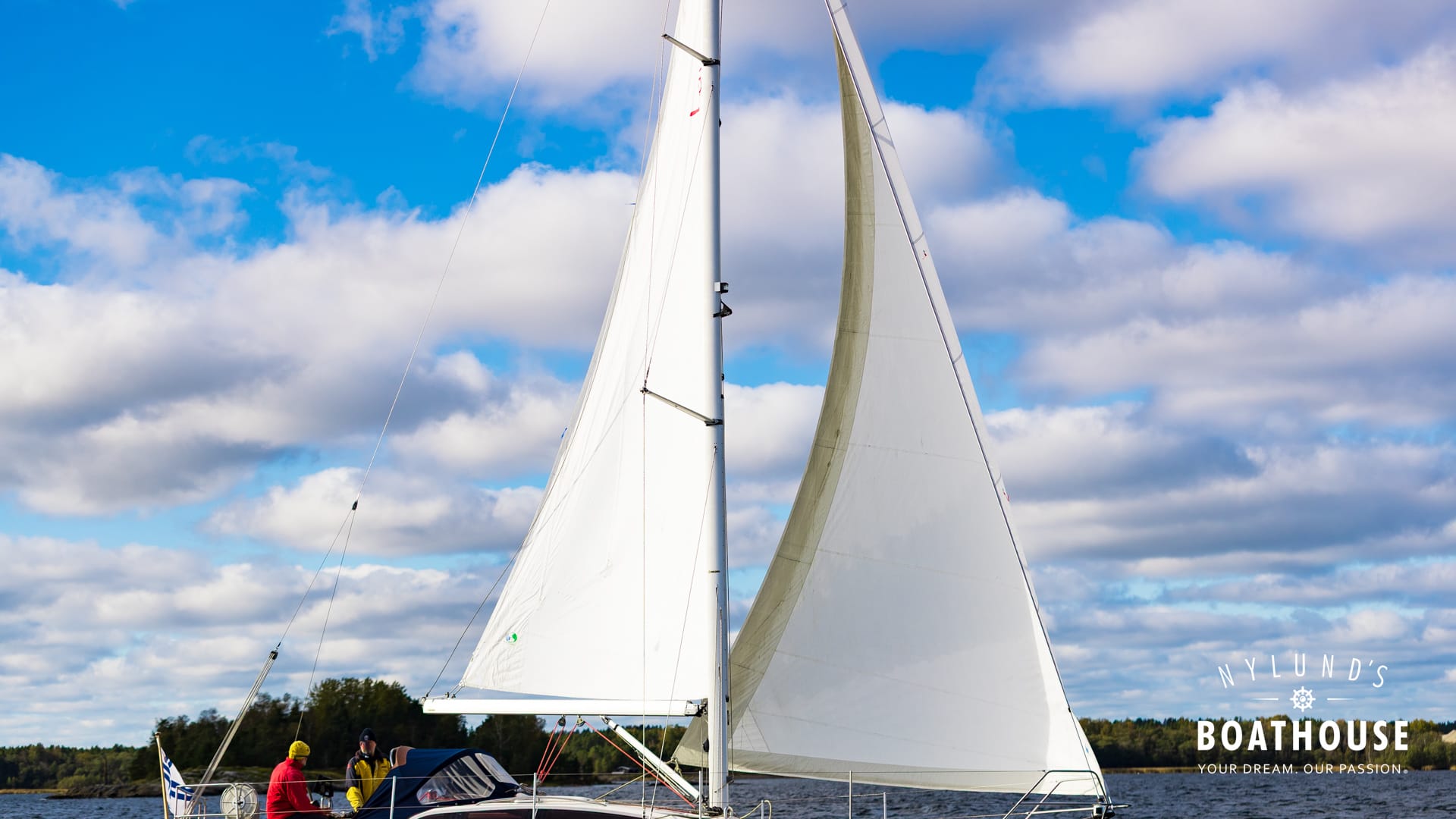 Delphia D37 - Image 13