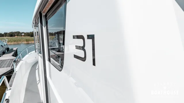 Sargo 31