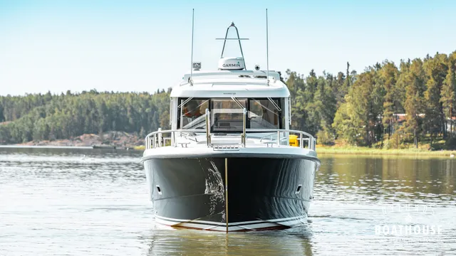 Sargo 31