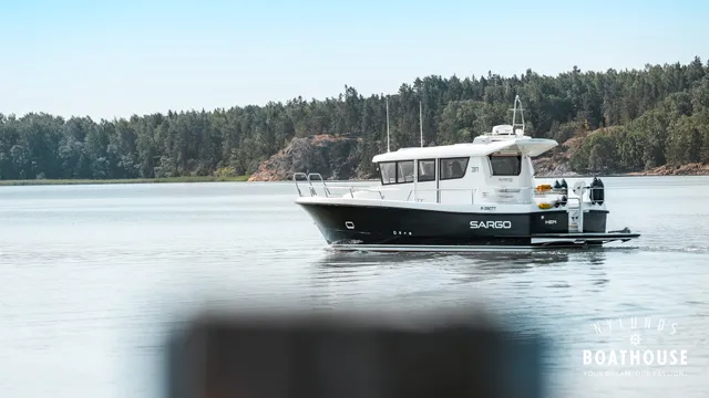 Sargo 31