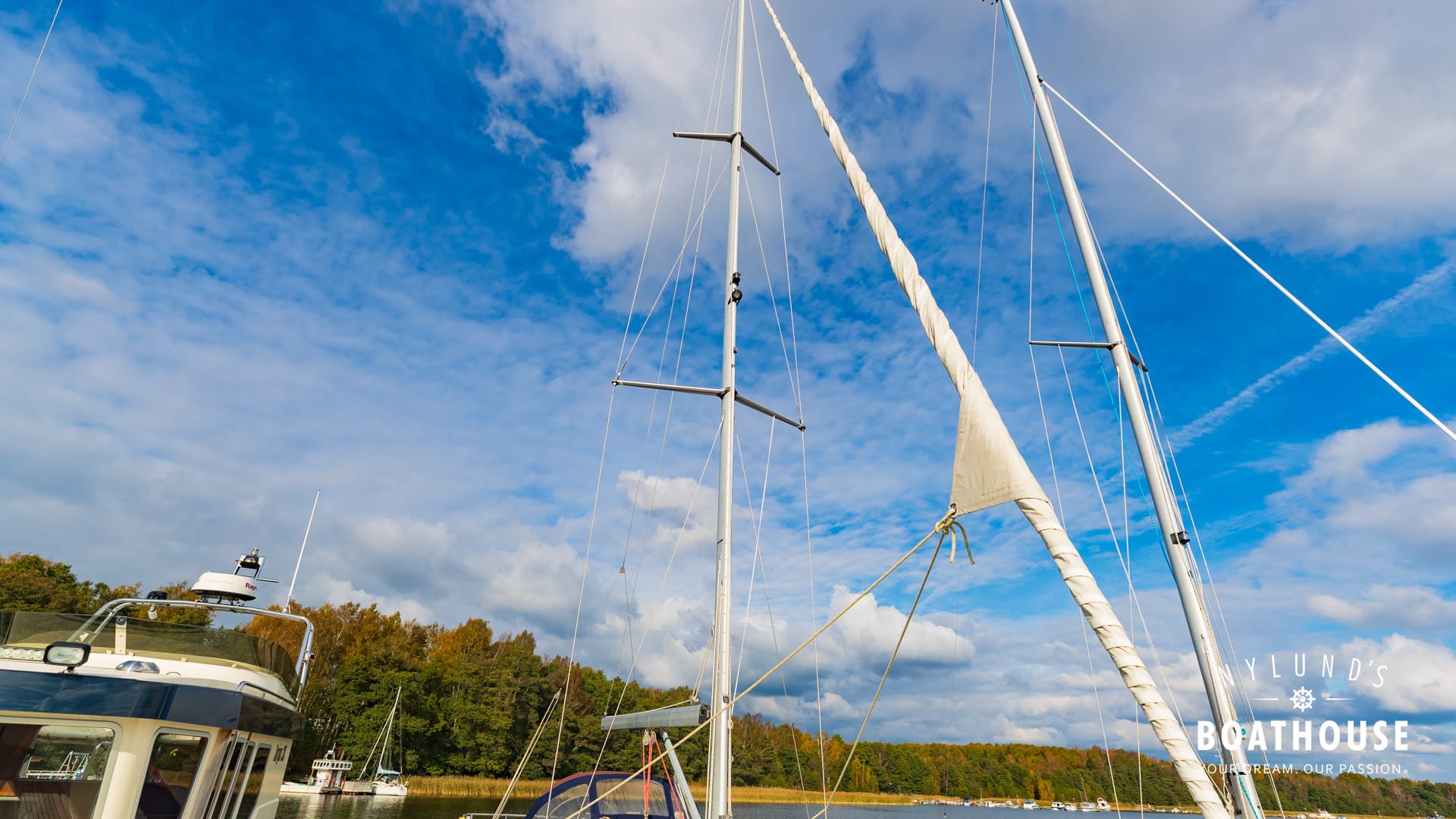 Delphia D37 - Image 119