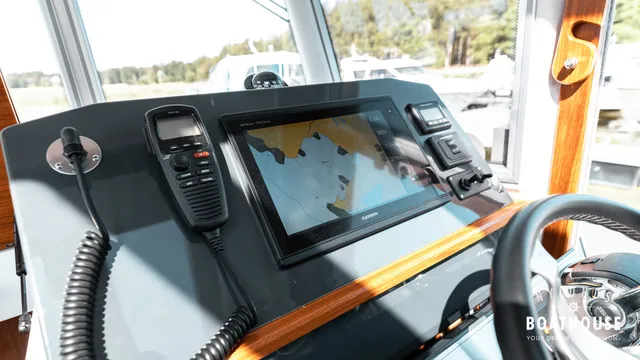 Sargo 31