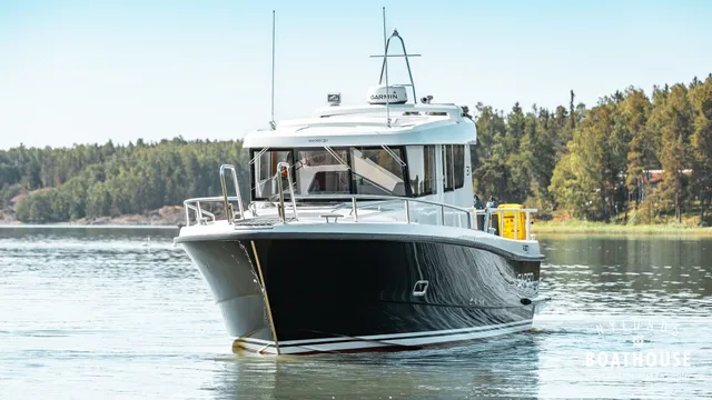 Sargo 31