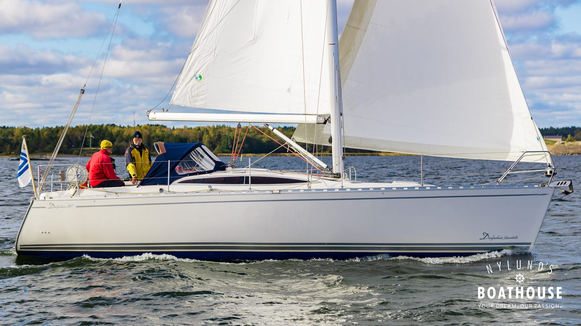 Delphia D37 - Image 22