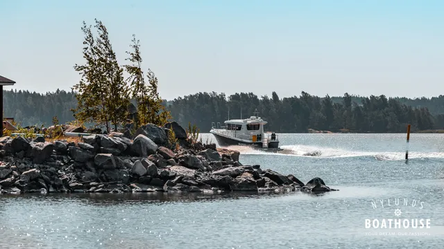 Sargo 31
