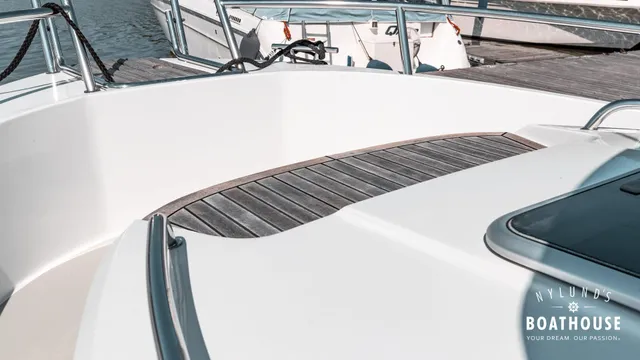 Sargo 31