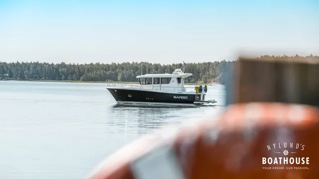 Sargo 31